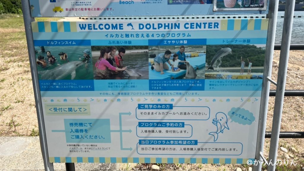 香川日本ドルフィンセンターの体験プログラム