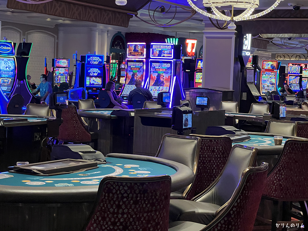 \u30a2\u30e1\u30ea\u30ab\u897f\u6d77\u5cb8\u5468\u904a\u30eb\u30fc\u30c8\u6c7a\u5b9a\u7248\uff01\u7d76\u666f\u90fd\u5e02\u3081\u3050\u308a\u5b8c\u5168\u30ac\u30a4\u30c9\uff087\u6cca9\u65e5\uff09